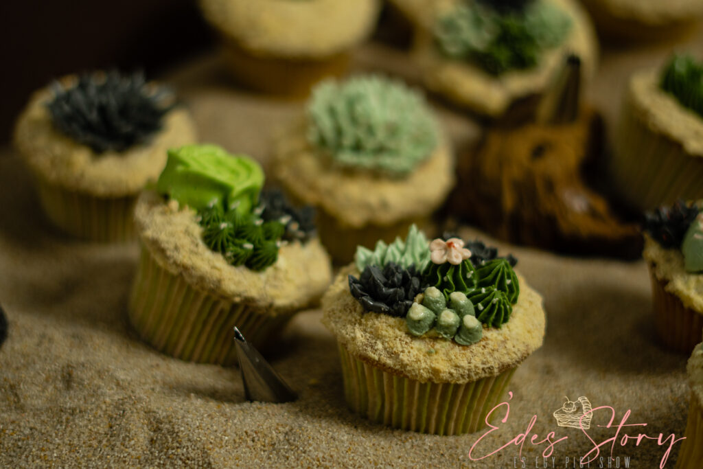 Vajkrém kaktuszokhoz és pozsgásokhoz csőválasztás és színezési segítség 