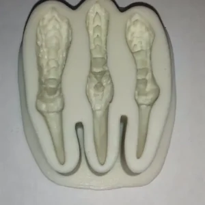 Szilikon forma - Dínó karom