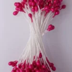 Bibék - Gyöngyházciklámen közepes fejű bibék - 170 fej