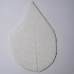 Szirom erező szilikon - Mikulás virág