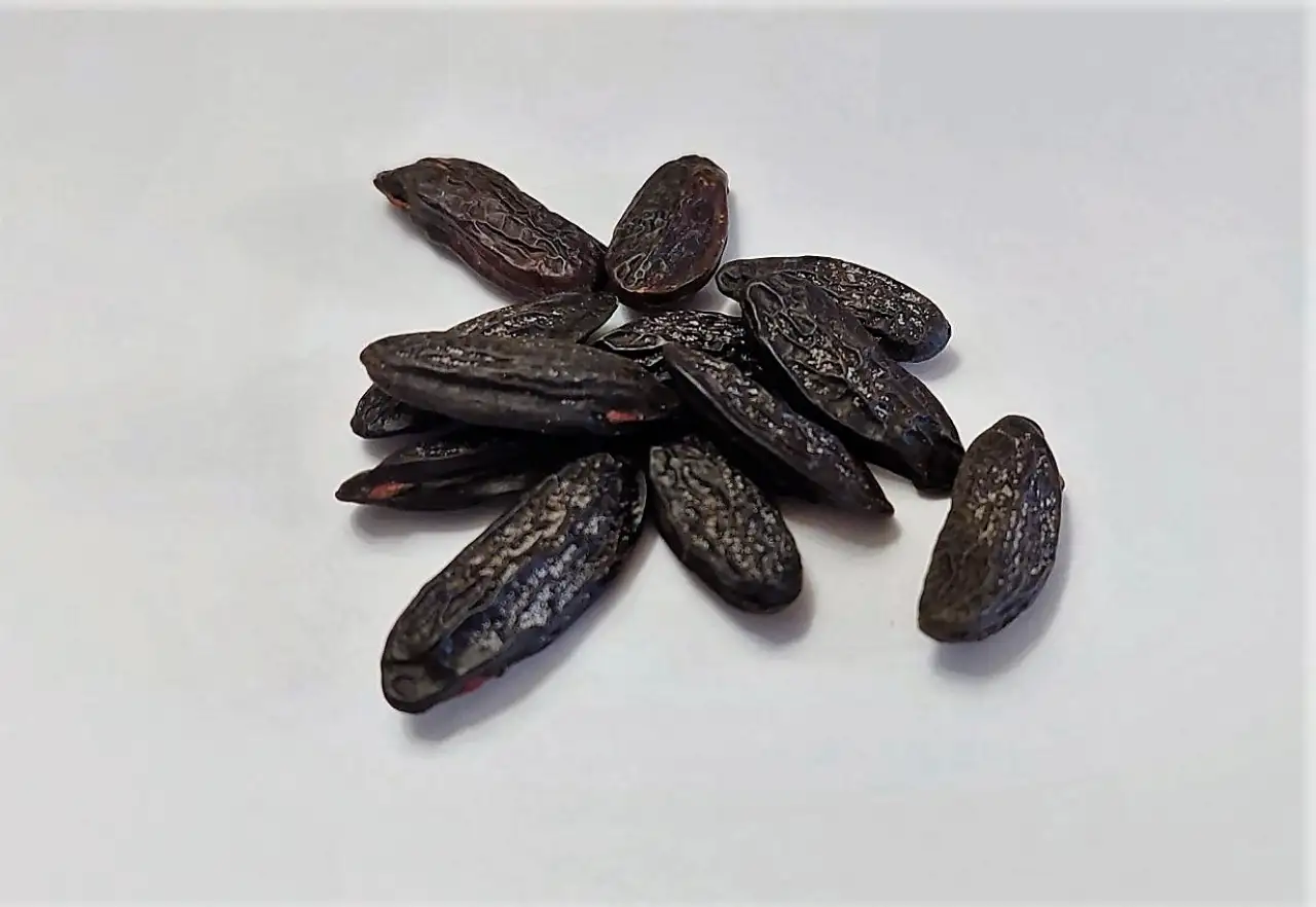 Tonkabab 10db nagyszemű