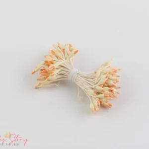 Bibék - Narancs Mártású hosszúkás bibék - 170 fej