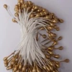 Bibék - Óarany közepes fejű bibék - 170 fej