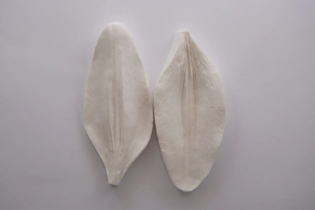 Casa Blanca liliom szirom szilikon erező szett - 2db