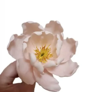 Cukorvirág -  Bazsarózsa - Rózsaszín  8-9cm