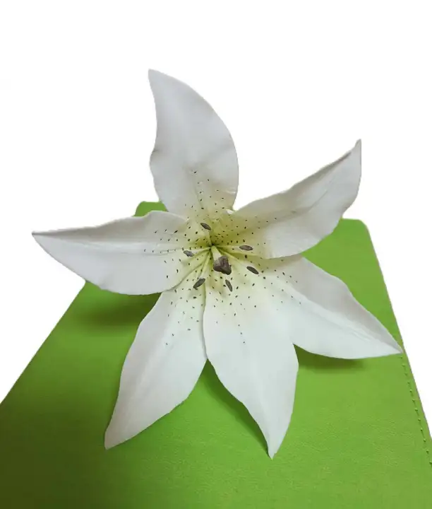 Cukorvirág - Liliom - Fehér 10-12cm