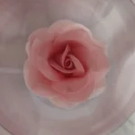 Cukorvirág -  Rózsa - színátmenetes rózsaszín  5-6cm