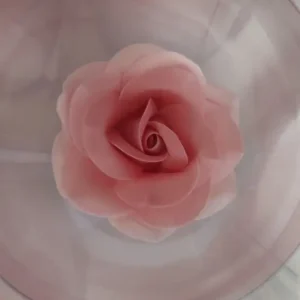 Cukorvirág -  Rózsa - színátmenetes rózsaszín  5-6cm