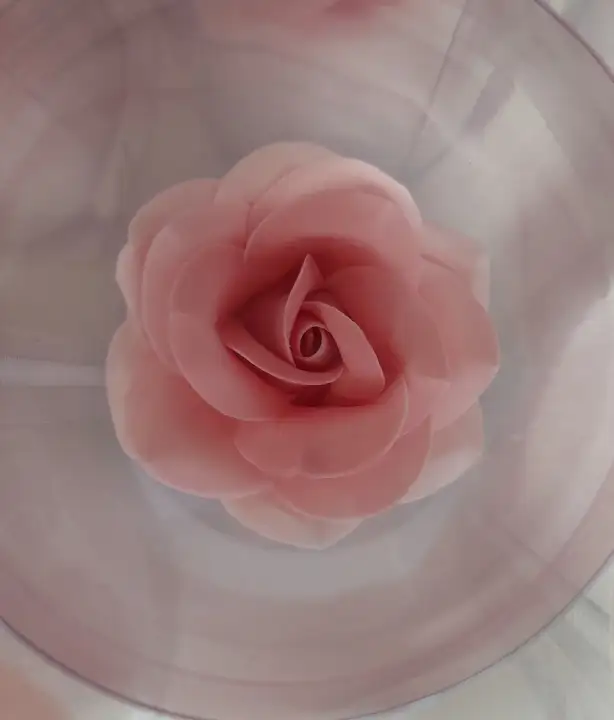 Cukorvirág - Rózsa - színátmenetes rózsaszín 5-6cm