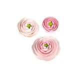 Leman Cukorvirág - Boglárka rózsaszín 1db 6,5cm